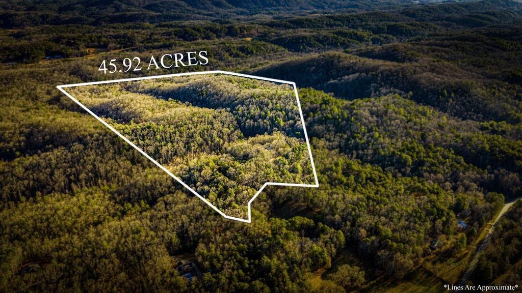 Land in Mineral Bluff, Georgia, United States 2 - 18076717