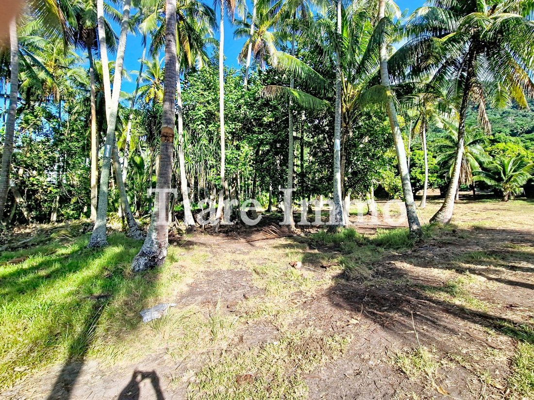 Land in Moorea-Maiao, Windward Islands, French Polynesia 5 - 16834215