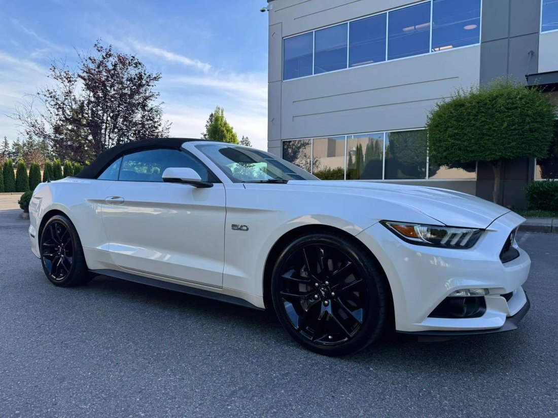 Cabriolet in Bellevue, WA, United States 1 - 18073664