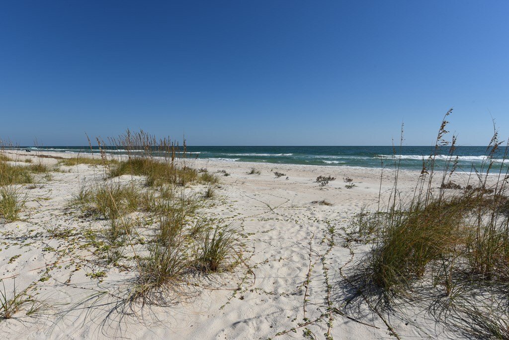 House in Saint George Island, Florida, United States 5 - 18071376
