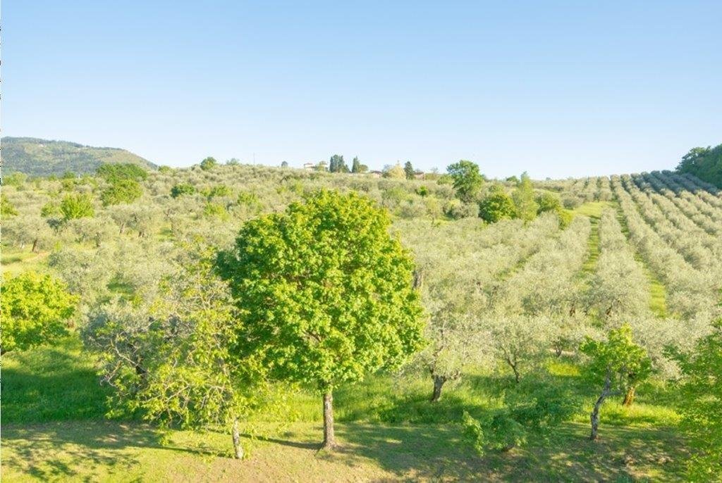 Estate in Pelago, Tuscany, Italy 3 - 18071674