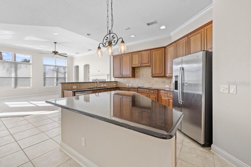 House in Sorrento, Florida, United States 5 - 18075488