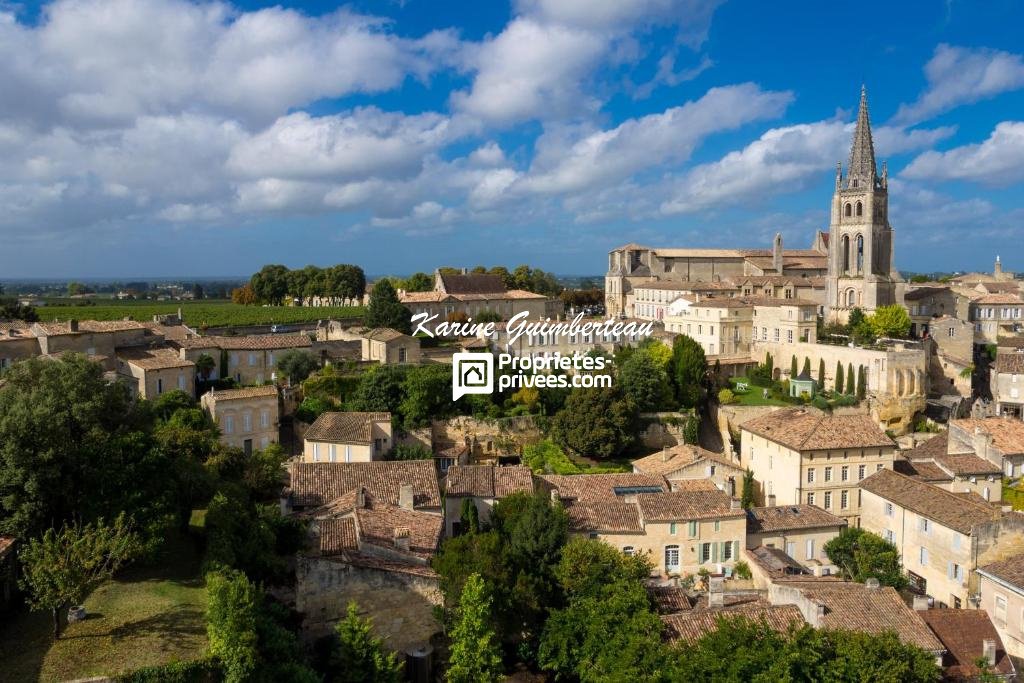 Villa in Saint-Émilion, Nouvelle-Aquitaine, France 4 - 18077155
