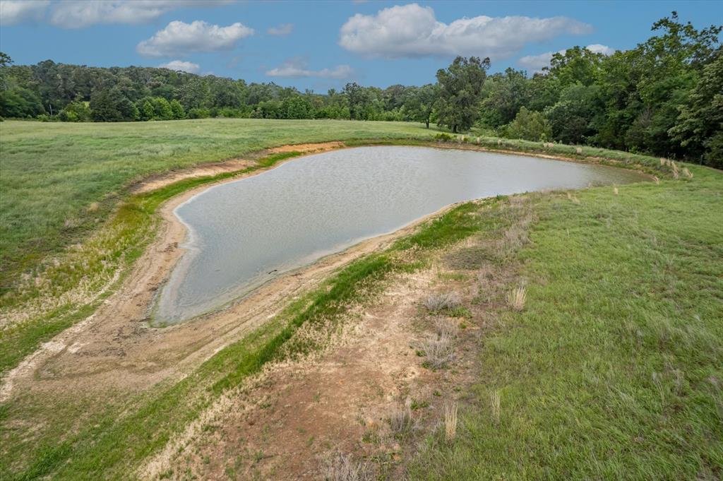 Farm Ranch in Ben Wheeler, Texas, United States 5 - 18072487