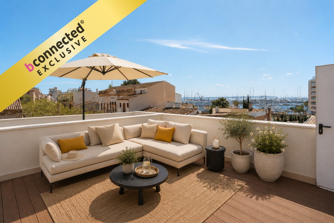 Apartment in Palma, Balearic Islands, Spain 1 - 17531665