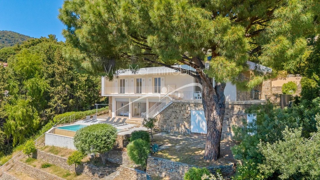 Villa in French Riviera, Provence-Alpes-Côte d'Azur, France 3 - 18072951