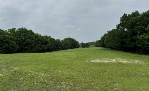 Terreno en McKinney, Texas, Estados Unidos 1