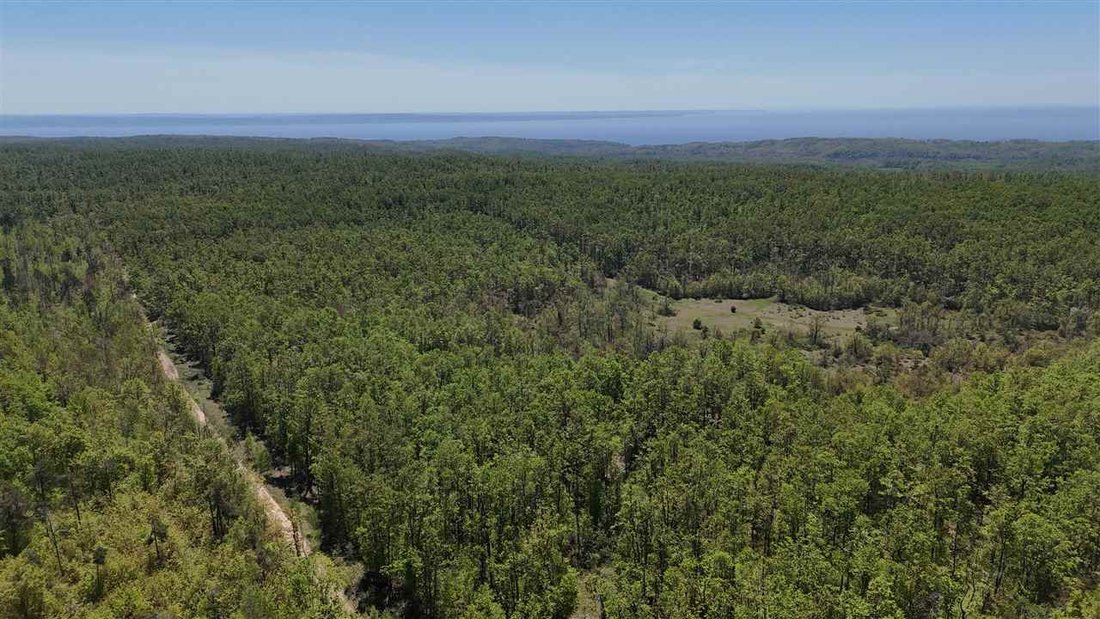 Land in Wequetonsing, Michigan, United States 1 - 18077780