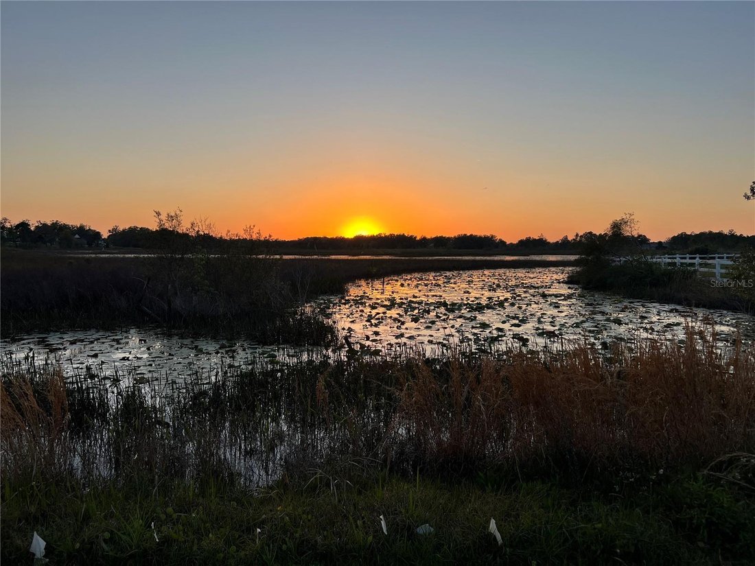 House in Minneola, Florida, United States 3 - 18075396