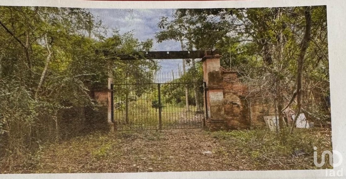 Land in Las Juntas, Jalisco, Mexico 4 - 18016694