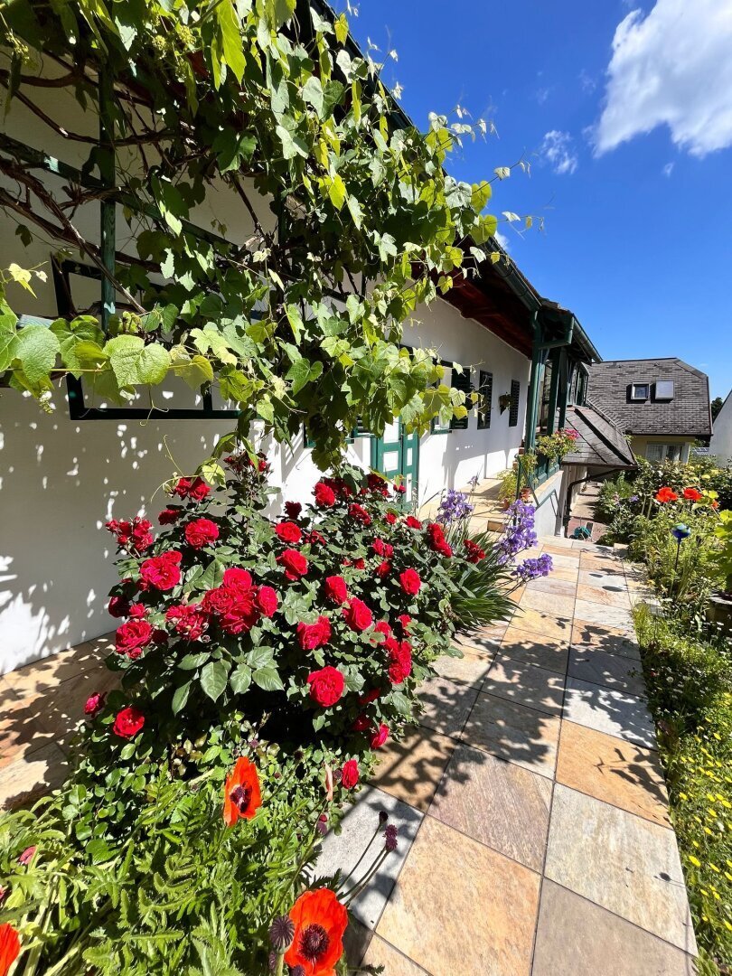 House in Grosspetersdorf, Burgenland, Austria 4 - 18073504