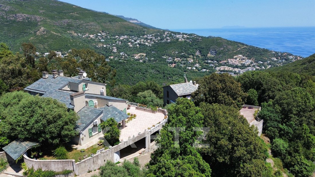 Villa in San-Martino-di-Lota, Corsica, France 1 - 18076942