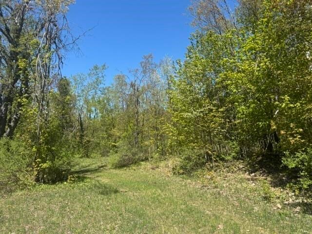 Land in Wequetonsing, Michigan, United States 4 - 18077780