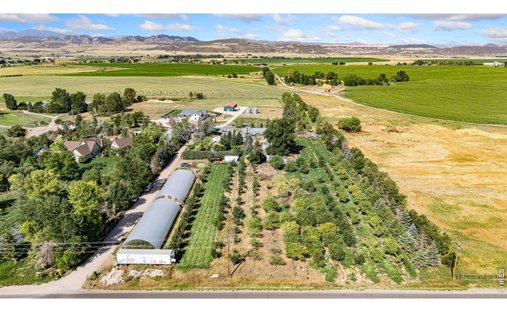 House in Wellington, Colorado, United States 1