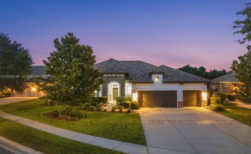 House in Lutz, Florida, United States 1