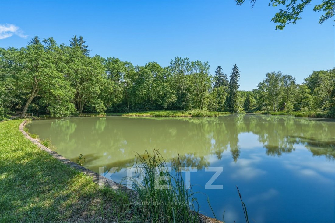 Estate in Nord, Reignier-Esery, France 4 - 18076945