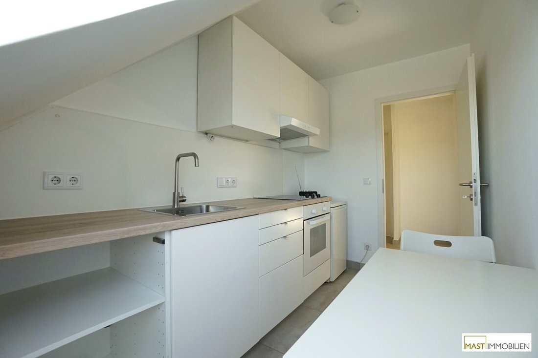 Vienna, Wien, Austria 3 - 18073501