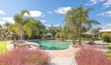 Villa a Sant Carles de Peralta, Santa Eulària des Riu, Isole Baleari 1