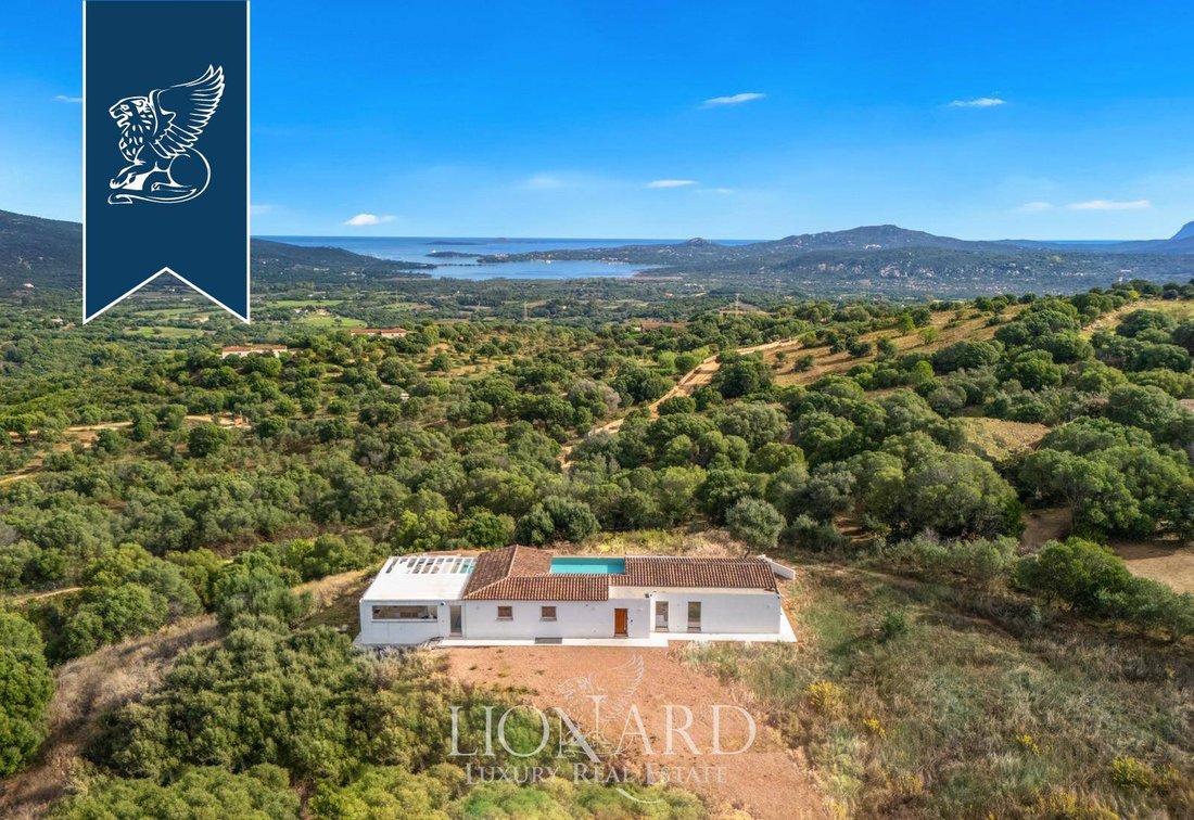 Villa in Porto Rotondo, Olbia, Sardinia 3 - 16846372
