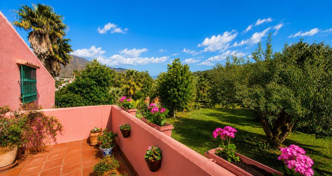 Finca in Estepona, Andalusia, Spain 3 - 12556789