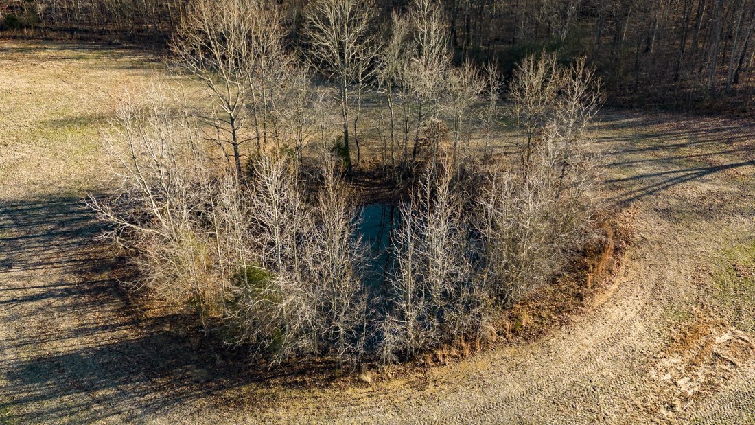 Farm Ranch in Portland, Tennessee, United States 4 - 18079574