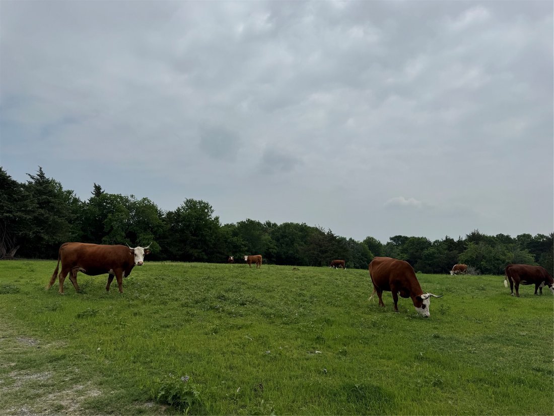 Land in McKinney, Texas, United States 5 - 18076137