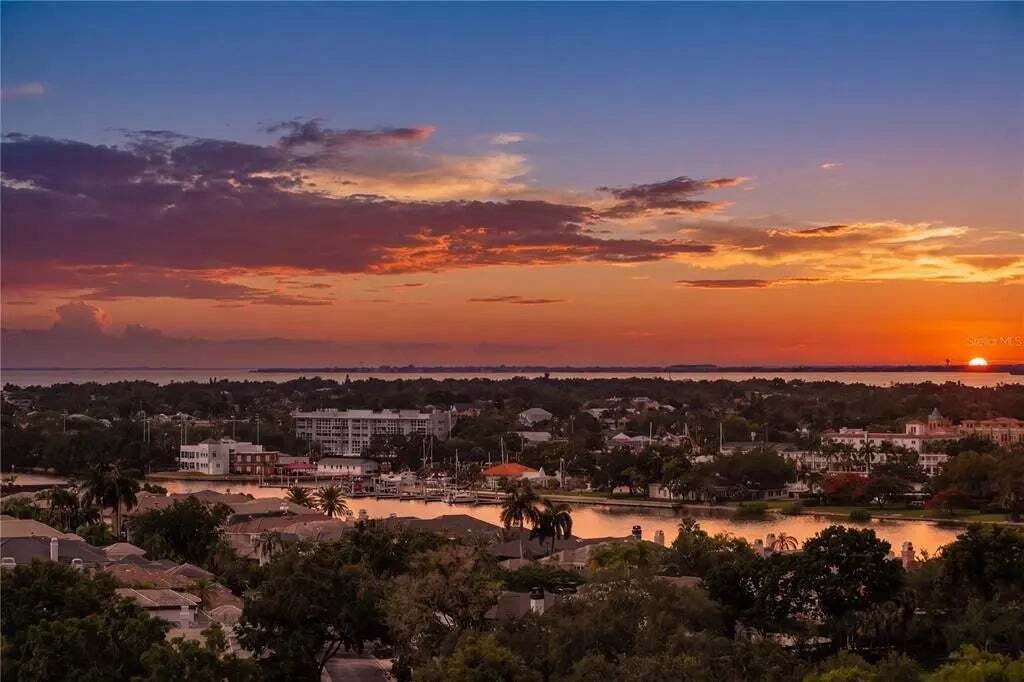House in Tampa, Florida, United States 3 - 18077889