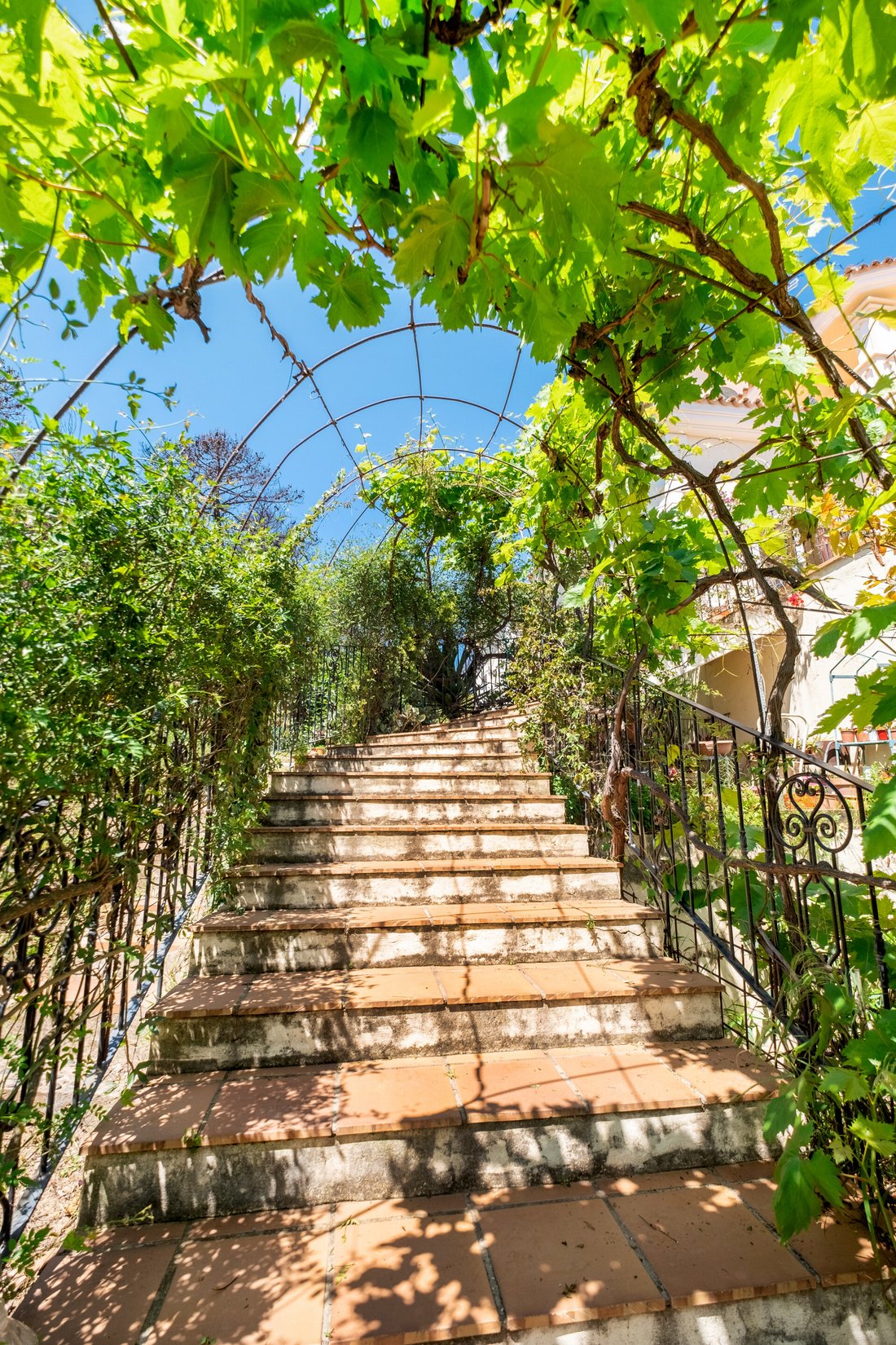 Finca in Estepona, Andalusia, Spain 5 - 18079465
