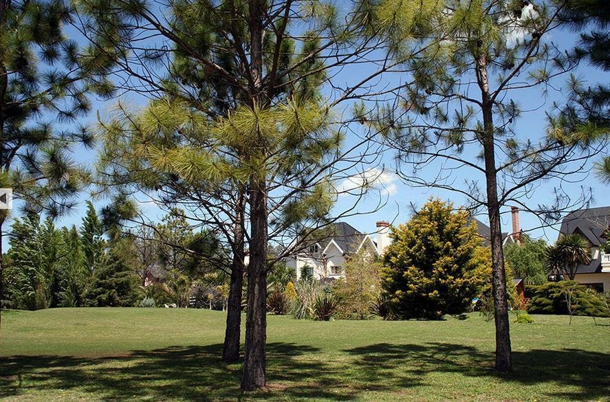 House in Esteban Echeverría, Buenos Aires Province, Argentina 2 - 18073315