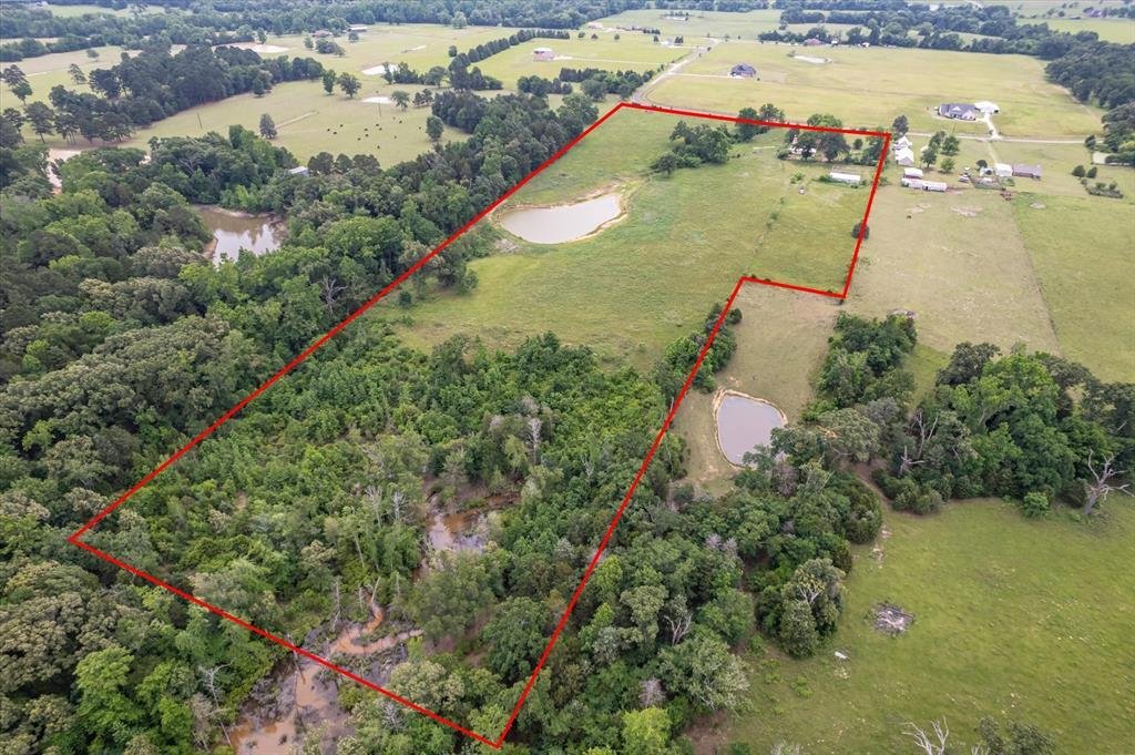 Farm Ranch in Ben Wheeler, Texas, United States 2 - 18072487