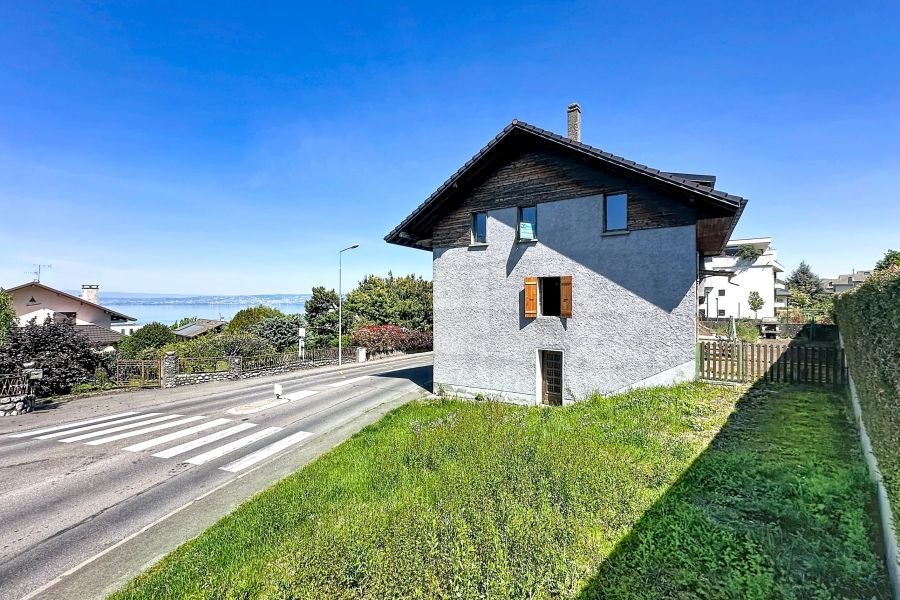 House in Evian-les-Bains, Auvergne-Rhône-Alpes, France 1 - 18072506