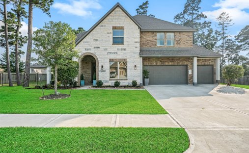House in Conroe, Texas, United States 1