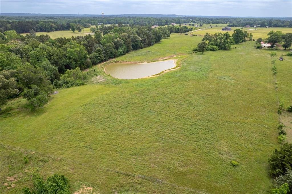 Farm Ranch in Ben Wheeler, Texas, United States 3 - 18072487