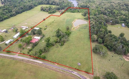 Land in Ben Wheeler, Texas, United States 1