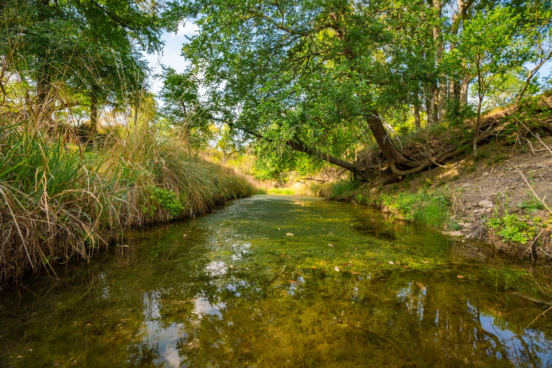 Farm Ranch in Boerne, Texas, United States 2 - 18077875