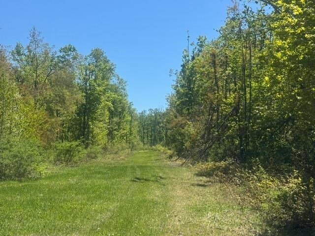 Land in Wequetonsing, Michigan, United States 5 - 18077780