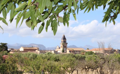 Maison à Santa Maria del Camí, Îles Baléares, Espagne 1