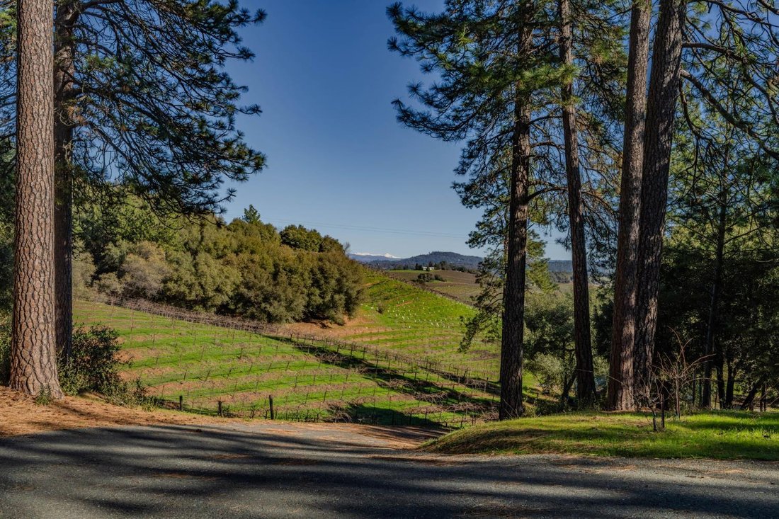 House in Plymouth, California, United States 4 - 16389884