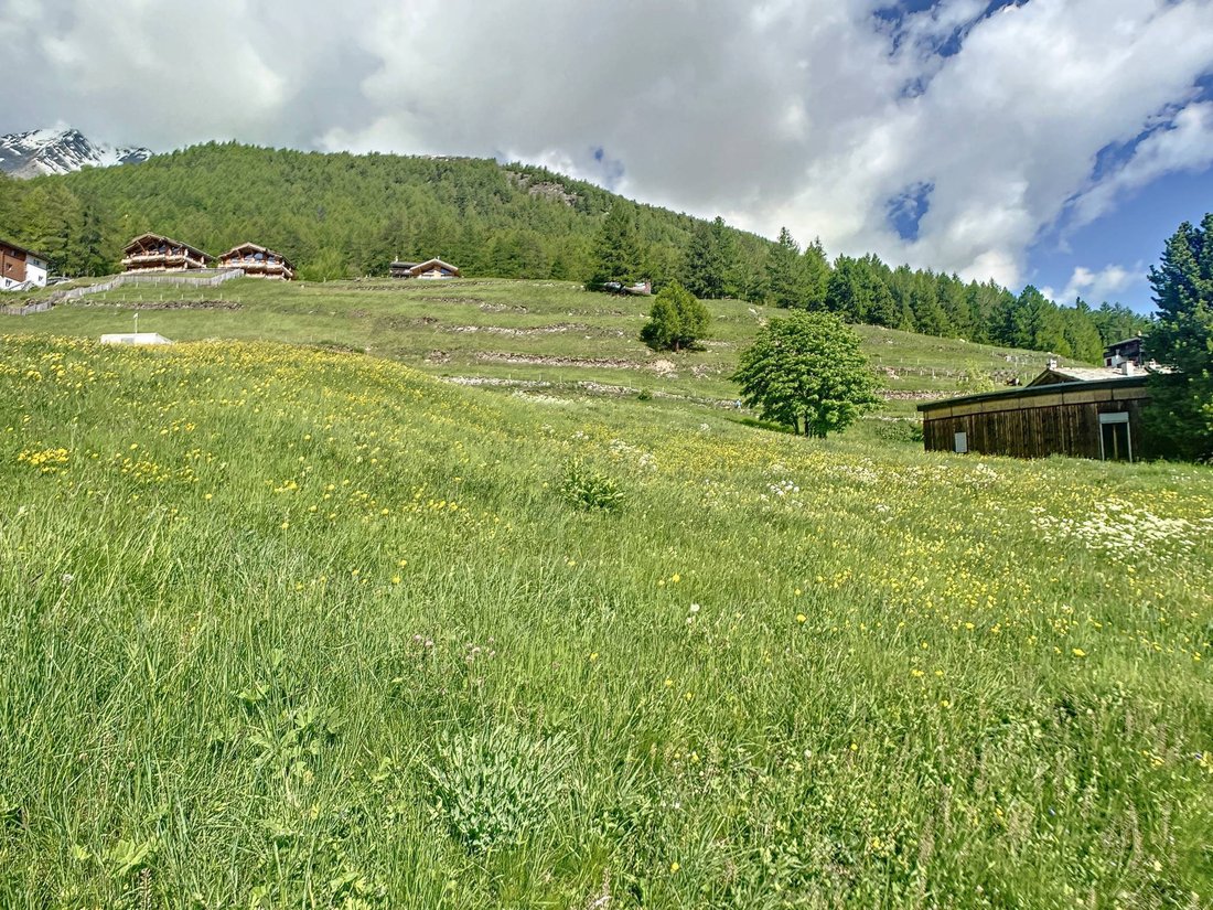 Land in Saas-Fee, Wallis, Schweiz 4 - 18071504