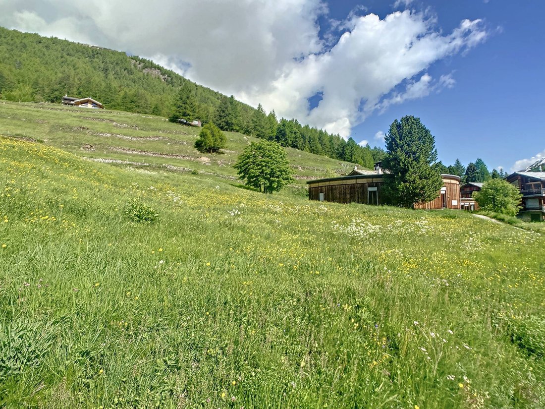 Land in Saas-Fee, Wallis, Schweiz 5 - 18071504