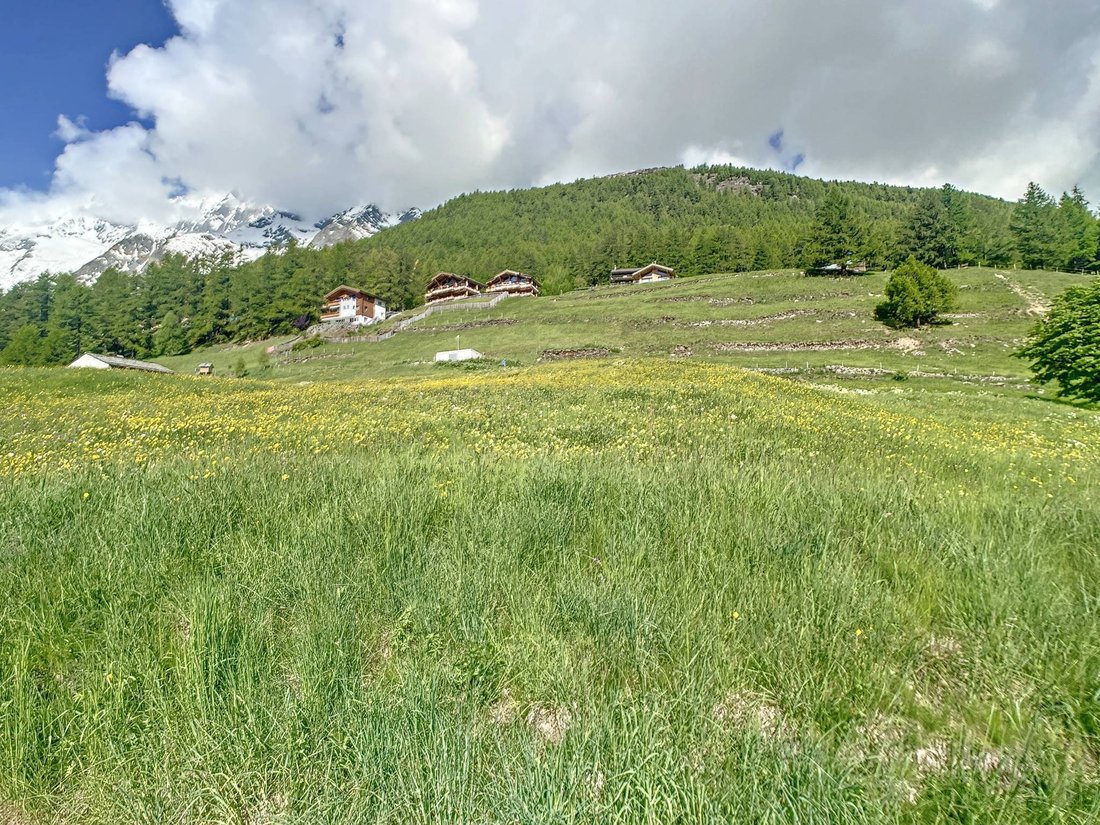 Land in Saas-Fee, Wallis, Schweiz 3 - 18071504