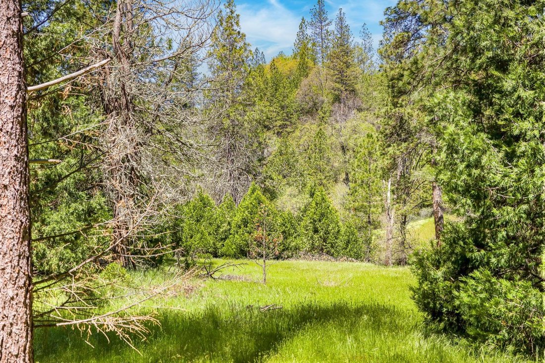 Terreno a Sheep Ranch, California, Stati Uniti 5 - 17437463