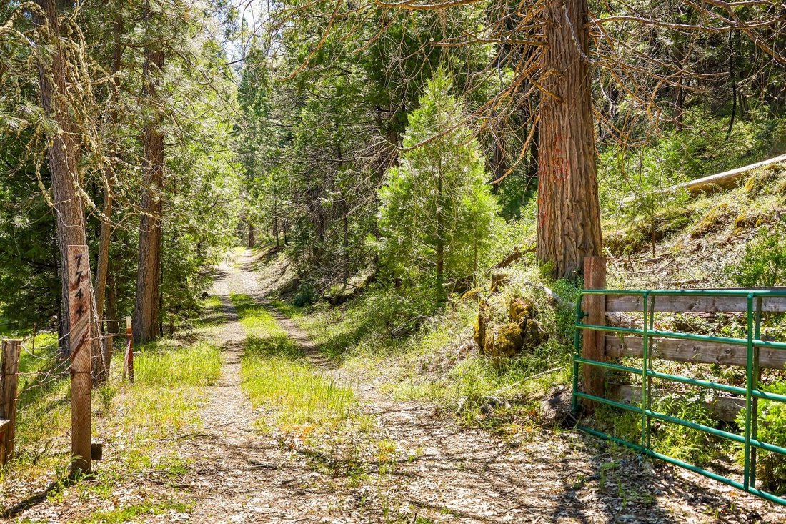 Terreno a Sheep Ranch, California, Stati Uniti 1 - 17437463