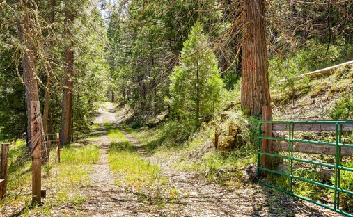 Terreno a Sheep Ranch, California, Stati Uniti 1