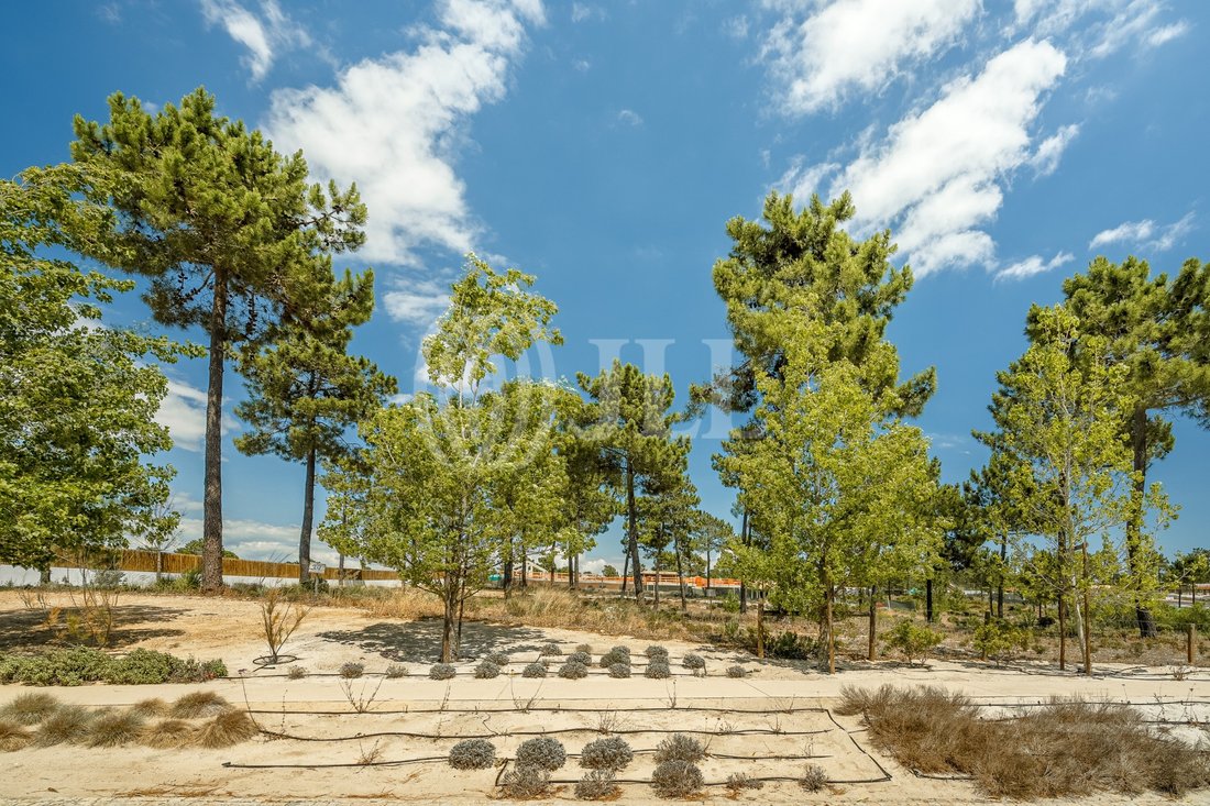 Land in Carvalhal, Setubal, Portugal 3 - 18077554