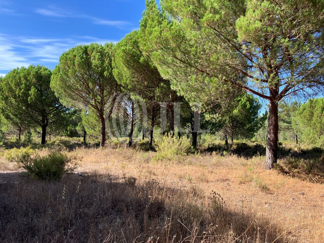 Land in Carvalhal, Setubal, Portugal 1 - 18077521