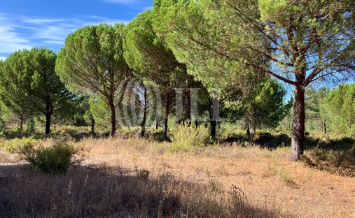 Land in Carvalhal, Setubal, Portugal 1