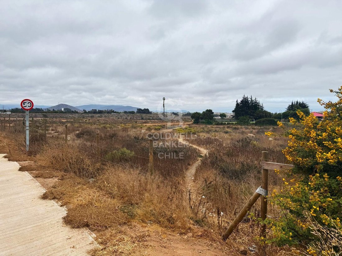 Land in La Serena, Coquimbo, Chile 2 - 18076567