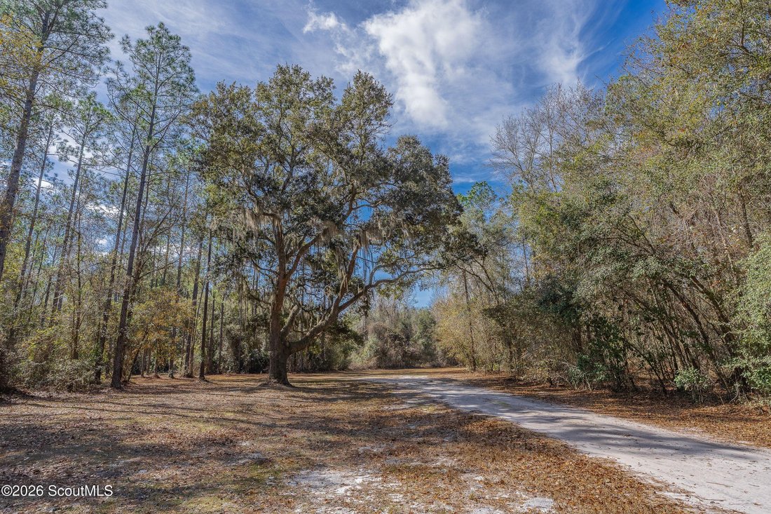 House in Saint George, Georgia, United States 3 - 18076213