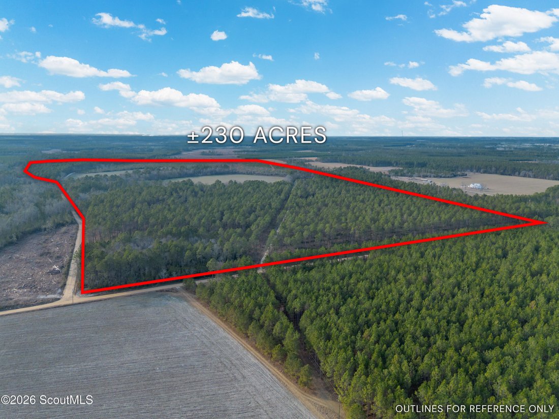 Farm Ranch in Odum, Georgia, United States 3 - 18076562